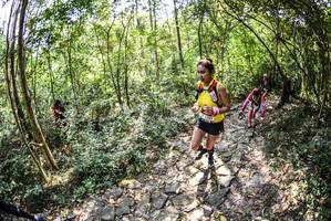 BIB: 
                            <button type="button" onclick="openModal(7023884)" class="btn btn-primary btn-sm float-right btn-popup" data-toggle="modal" data-target=".modal-high-quality">
                        <i class="fas fa-shopping-cart"></i> Add to Cart
                    </button>
                                            <button type="button" onclick="isThisMe(7023884, true)" class="btn btn-success btn-sm float-right btn-popup btn-isme hidden" data-toggle="tooltip" data-placement="bottom" title="นี่คือรูปของคุณใช่ไหม คลิกที่นี่เพื่อเอาเข้าอัลบั้ม">
                        <i class="fas fa-plus"></i> Add to album
                    </button>
                    <button type="button" onclick="isThisMe(7023884, false)" class="btn btn-warning btn-sm float-right btn-popup btn-isnotme hidden">
                        <i class="fas fa-ban"></i> Remove from album
                    </button>